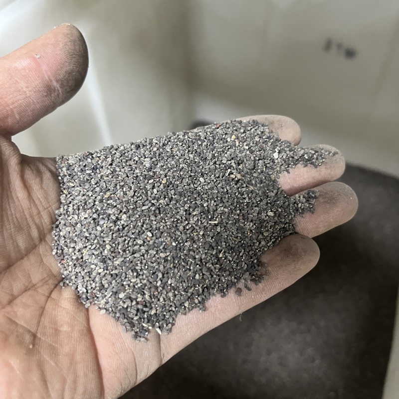留蘭香薄荷2.jpg