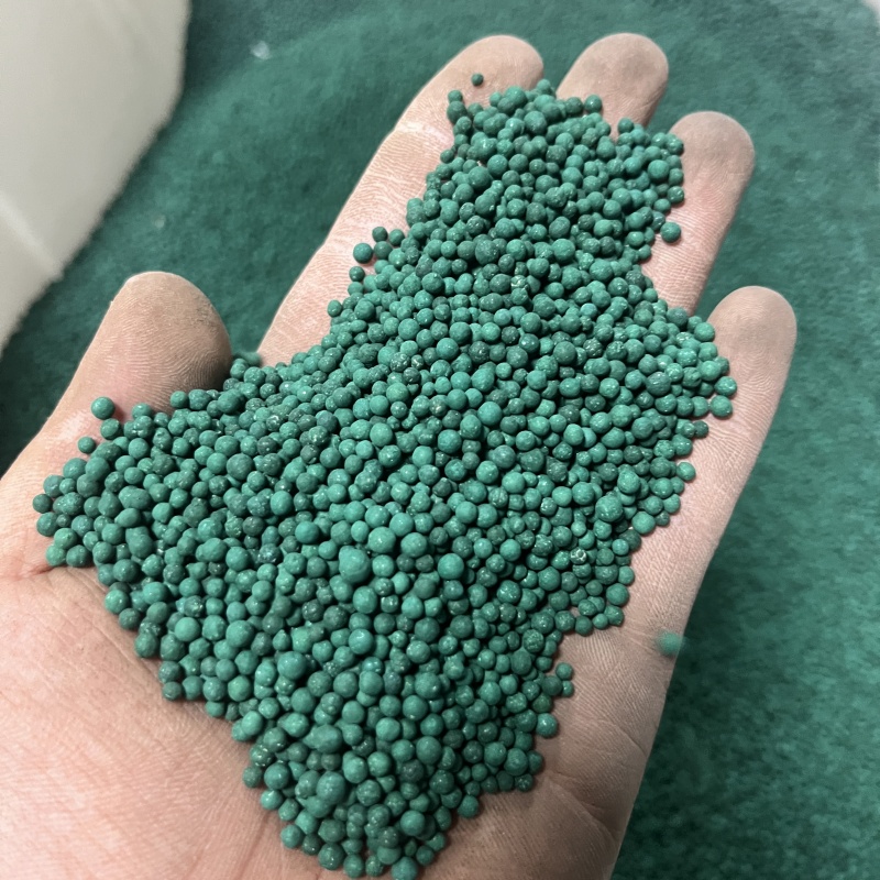 马蹄金2.jpg